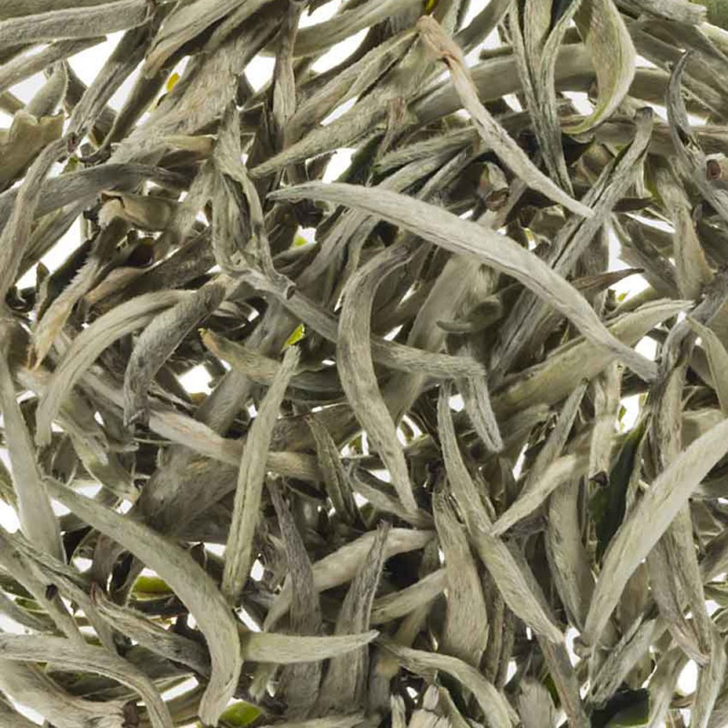 WT China White Yunnan Yin Zhen Silver